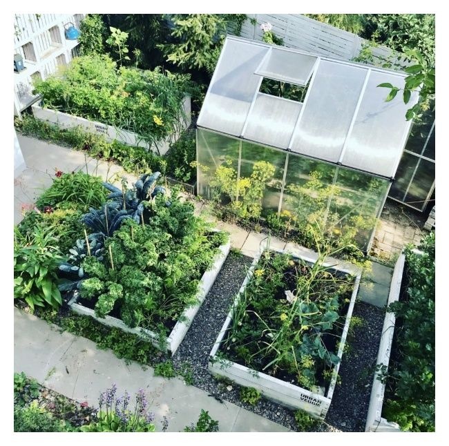 Ekologiczna uprawa warzyw w ogrodzie