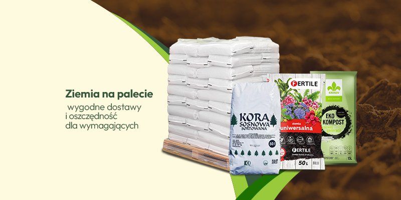 Ziemia na palecie Ziemia na palecie - Grafika