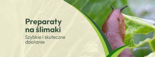 Preparaty na ślimaki - Grafika