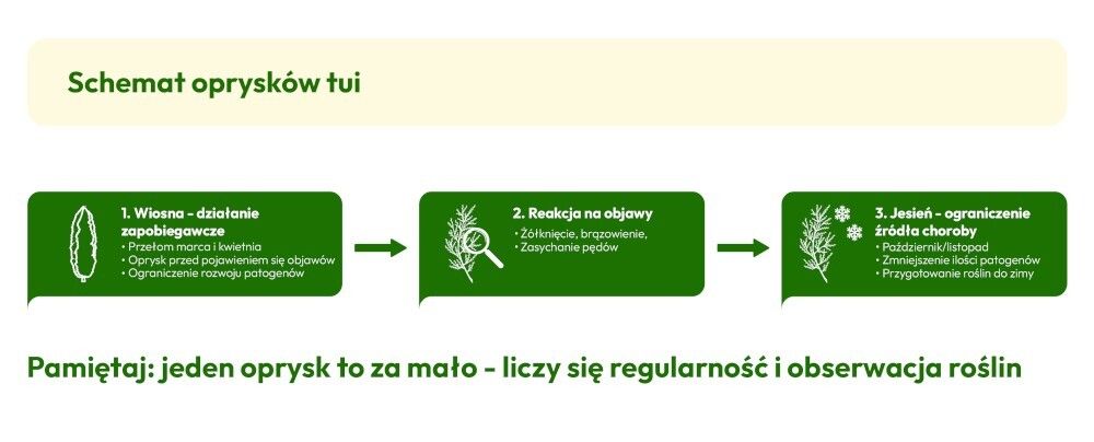 schemat oprysków tui schemat oprysków tui