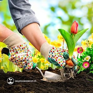 Sklep ogrodniczy online zaprasza na zakupy | Blog Sklepogrodniczy.pl