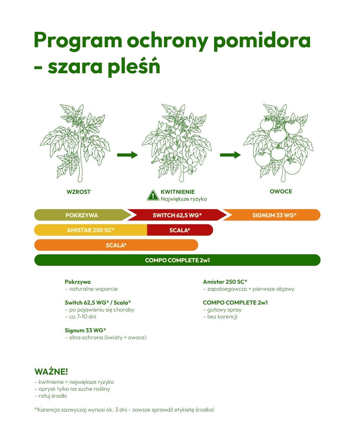 Infografika - program ochrony pomidora - szara pleśń Infografika - program ochrony pomidora - szara pleśń