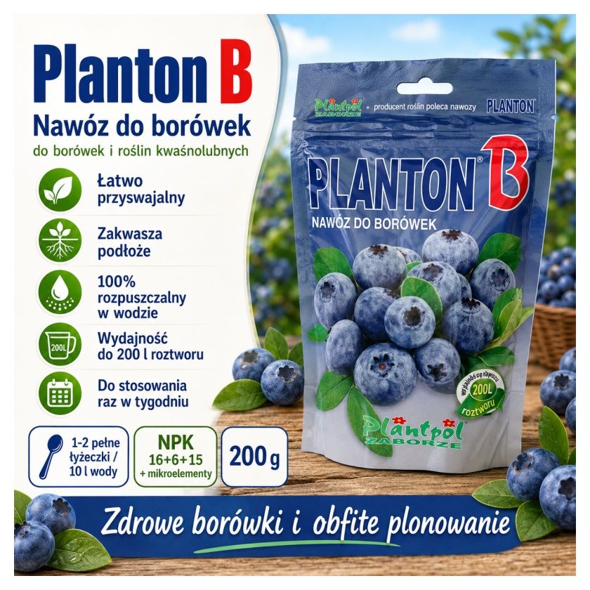 Planton B