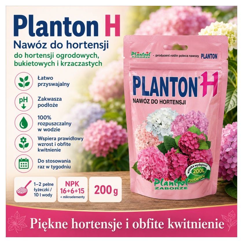 Planton H