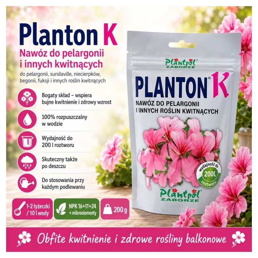 Planton K