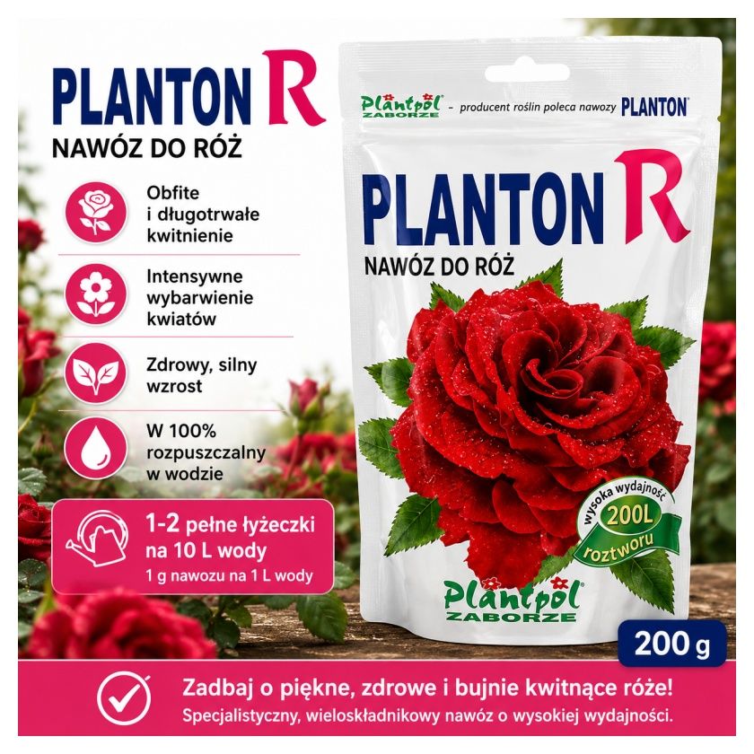 Planton R