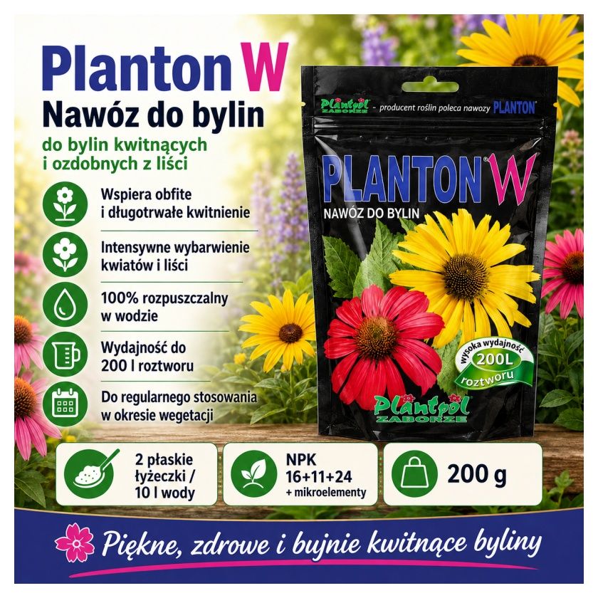 Planton W