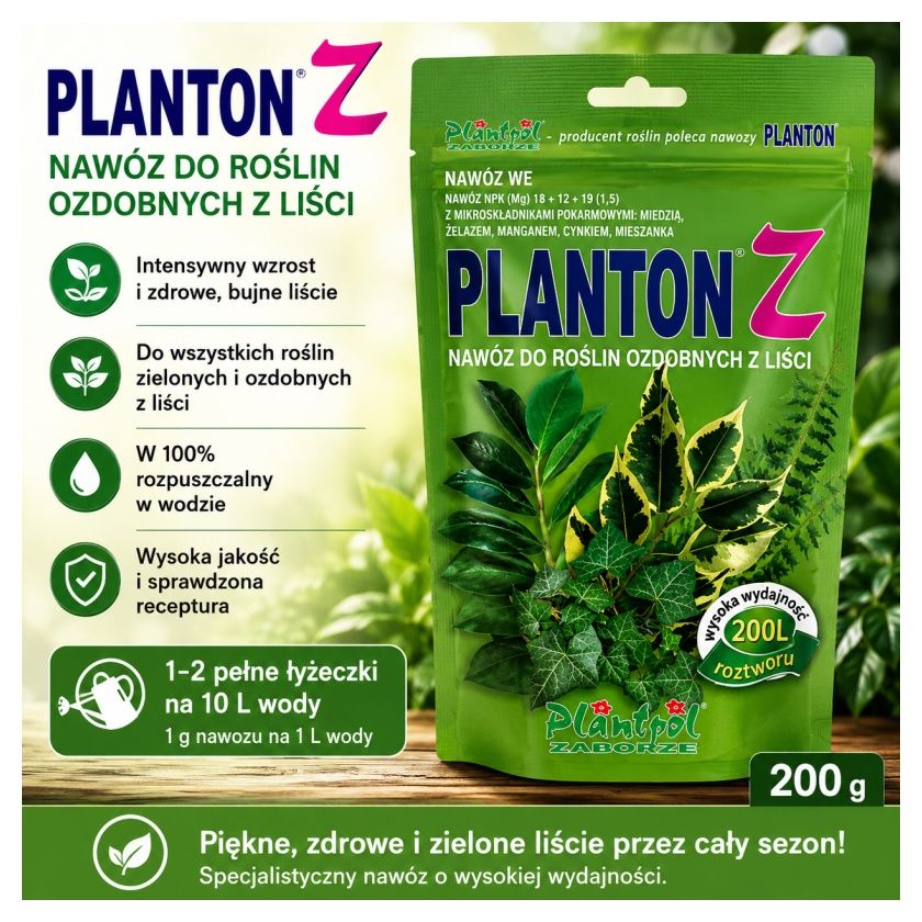 Planton Z