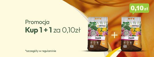 Zeolit 1+1 Zeolit 1+1 - Grafika